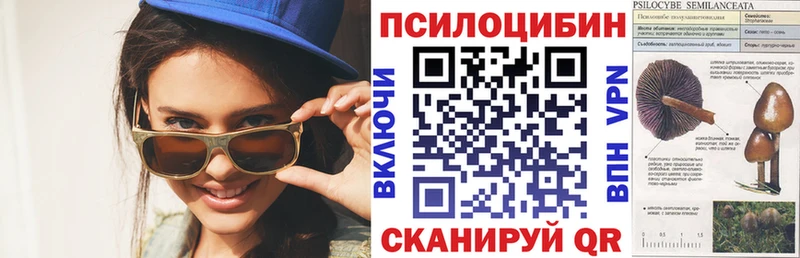 где купить наркоту  Магадан  Псилоцибиновые грибы мухоморы 