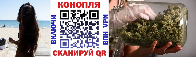 закладки Магадан Канабис THC 21%